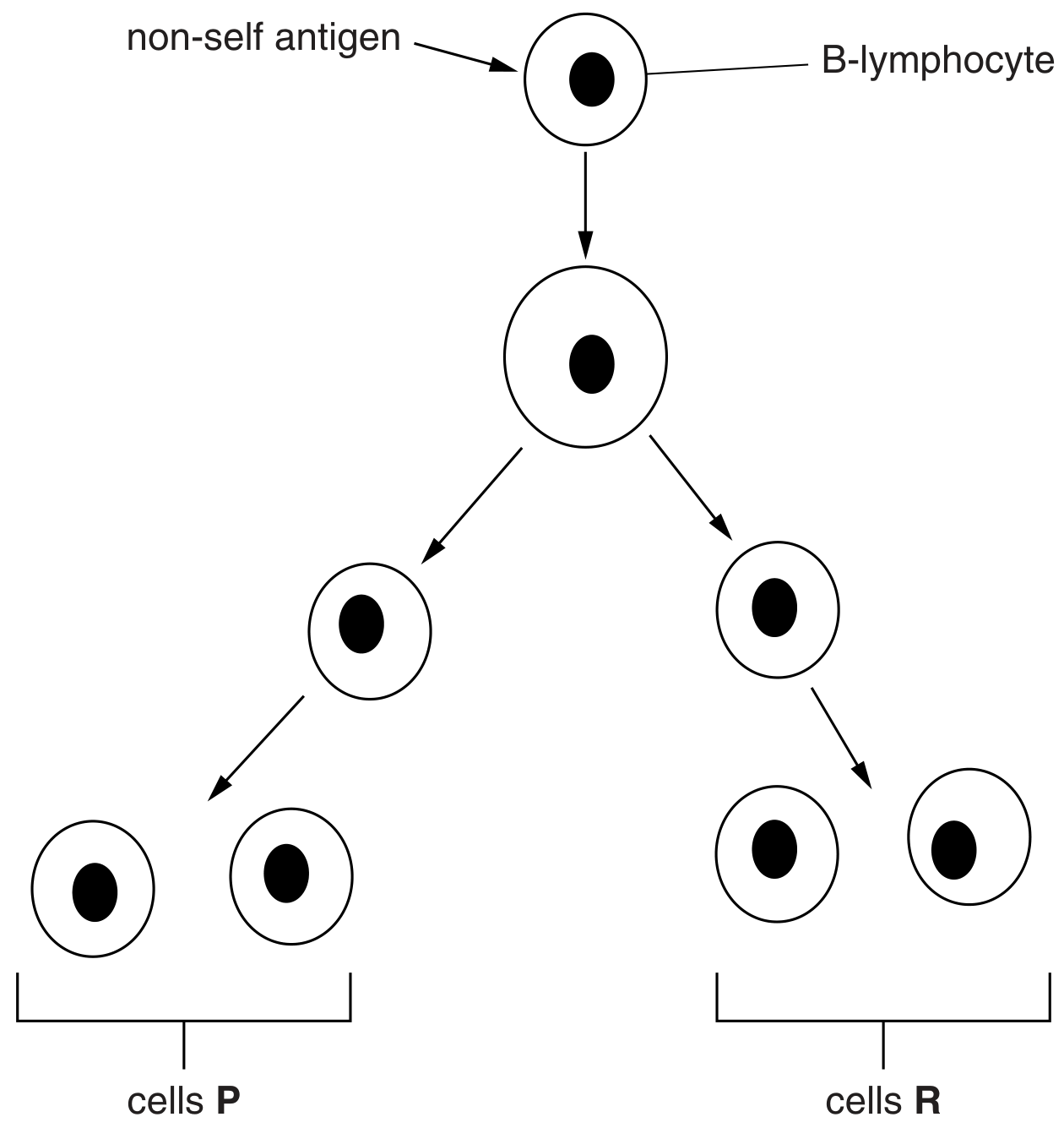 Fig. 4.1