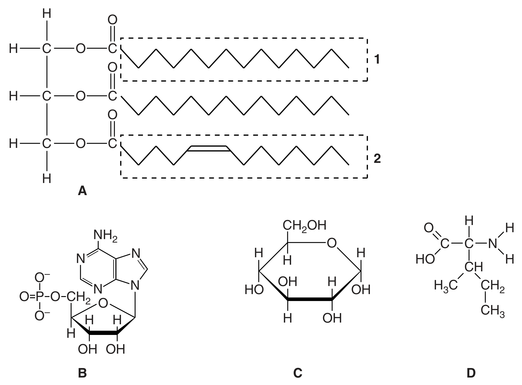 Fig. 1.1