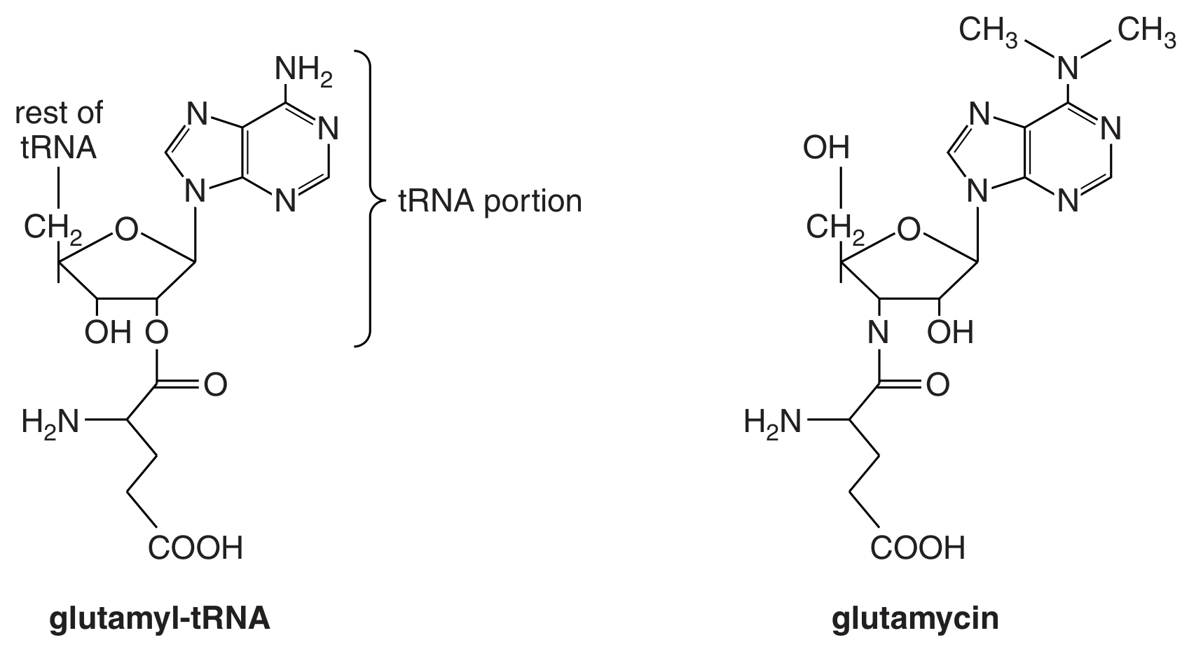 Fig. 3.1