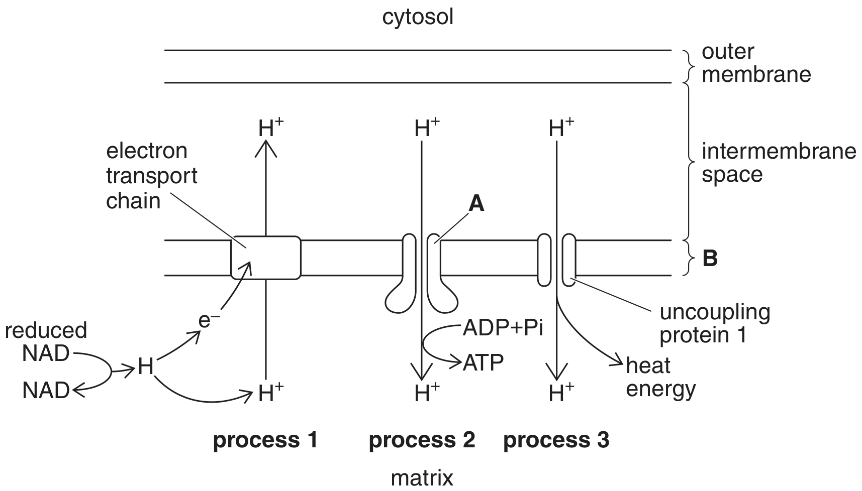 Fig. 8.1