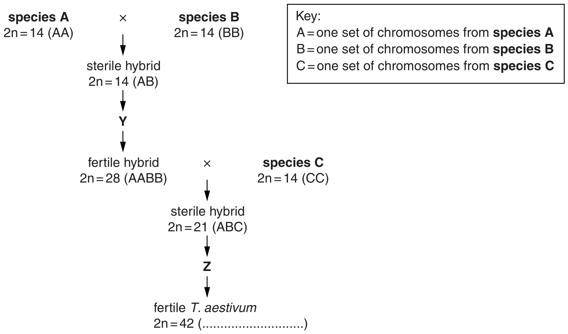 Fig. 3.1