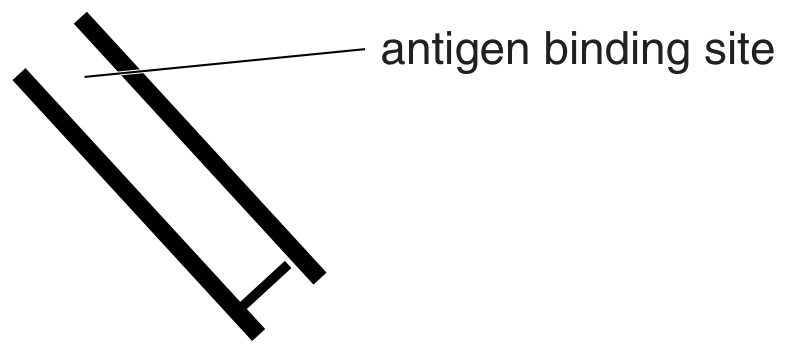 Fig. 2.1