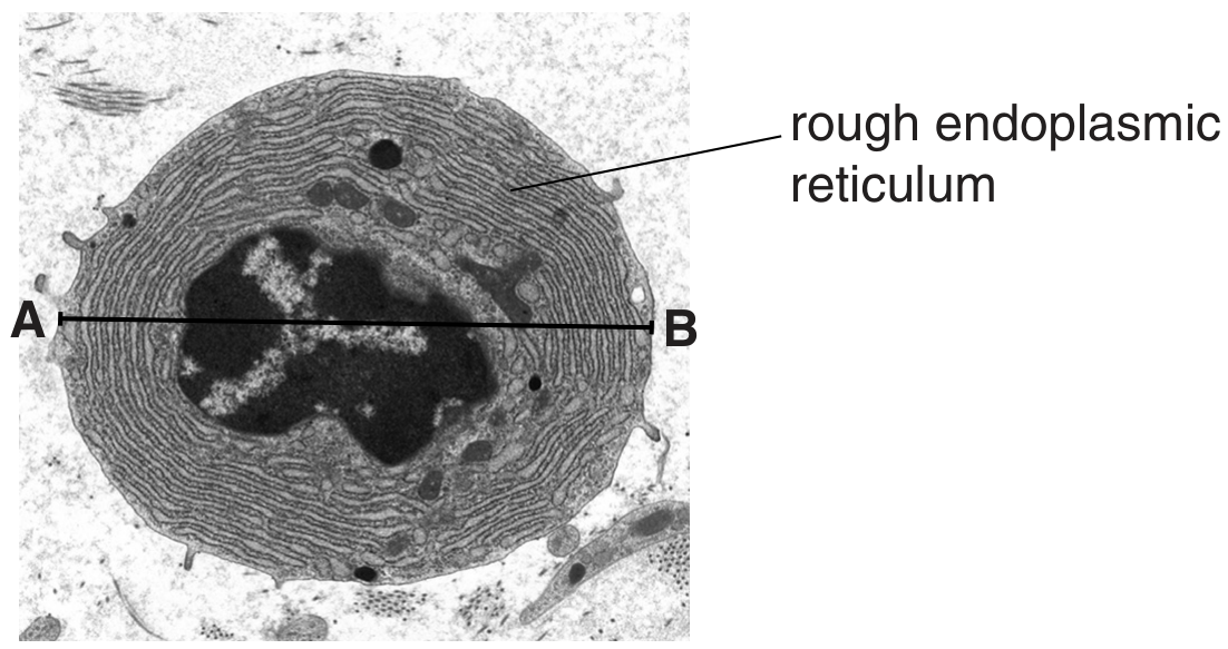 Fig. 3.1