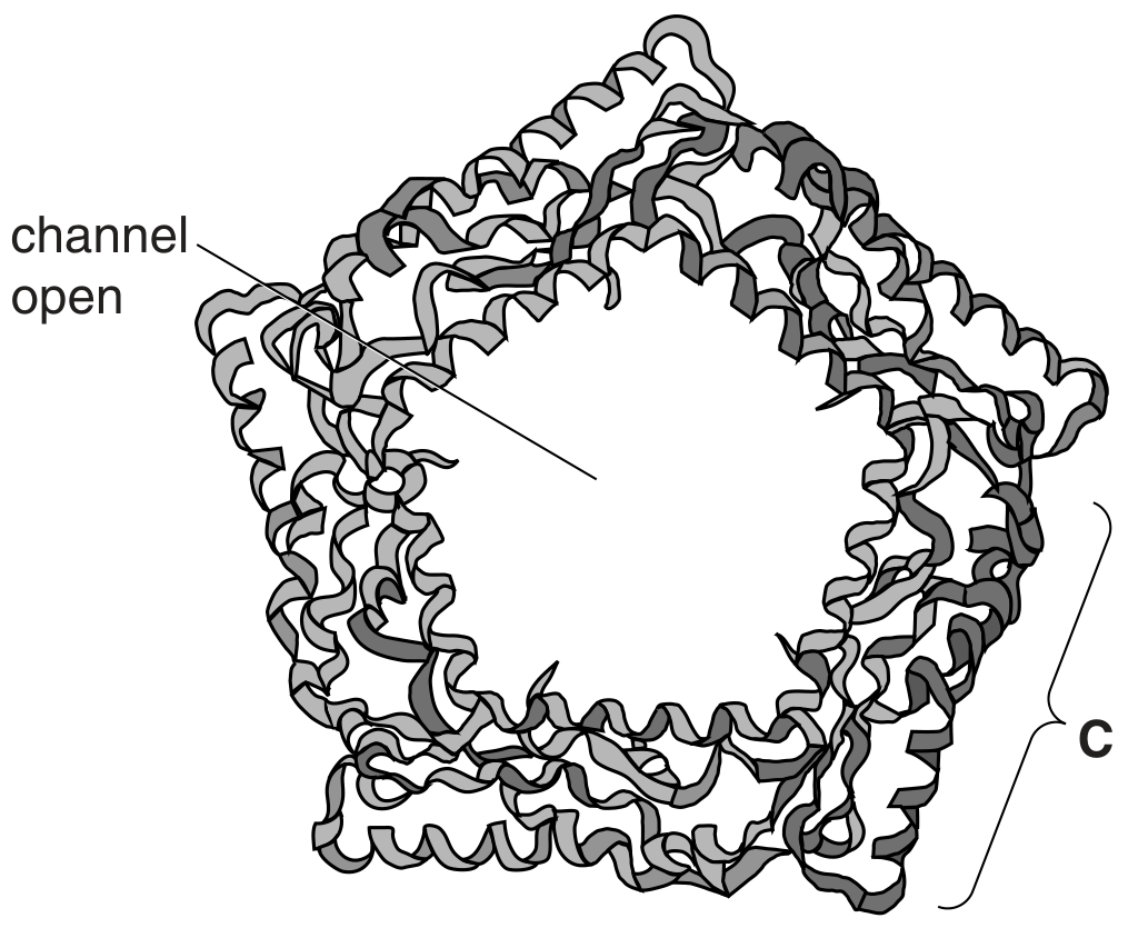 Fig. 2.1a