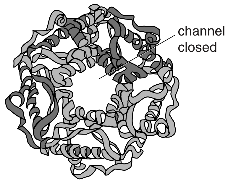 Fig. 2.1 b
