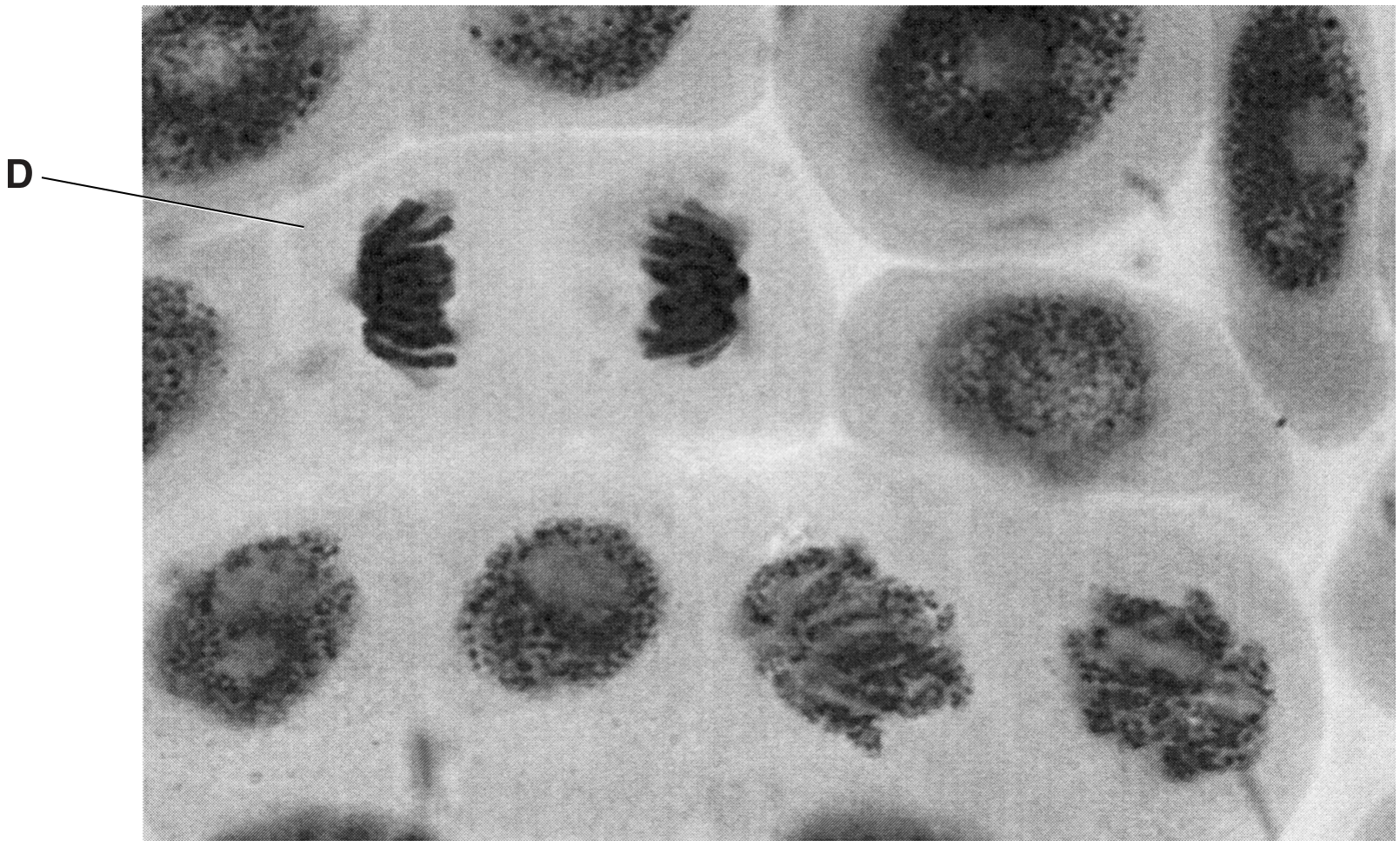 Fig. 3.1