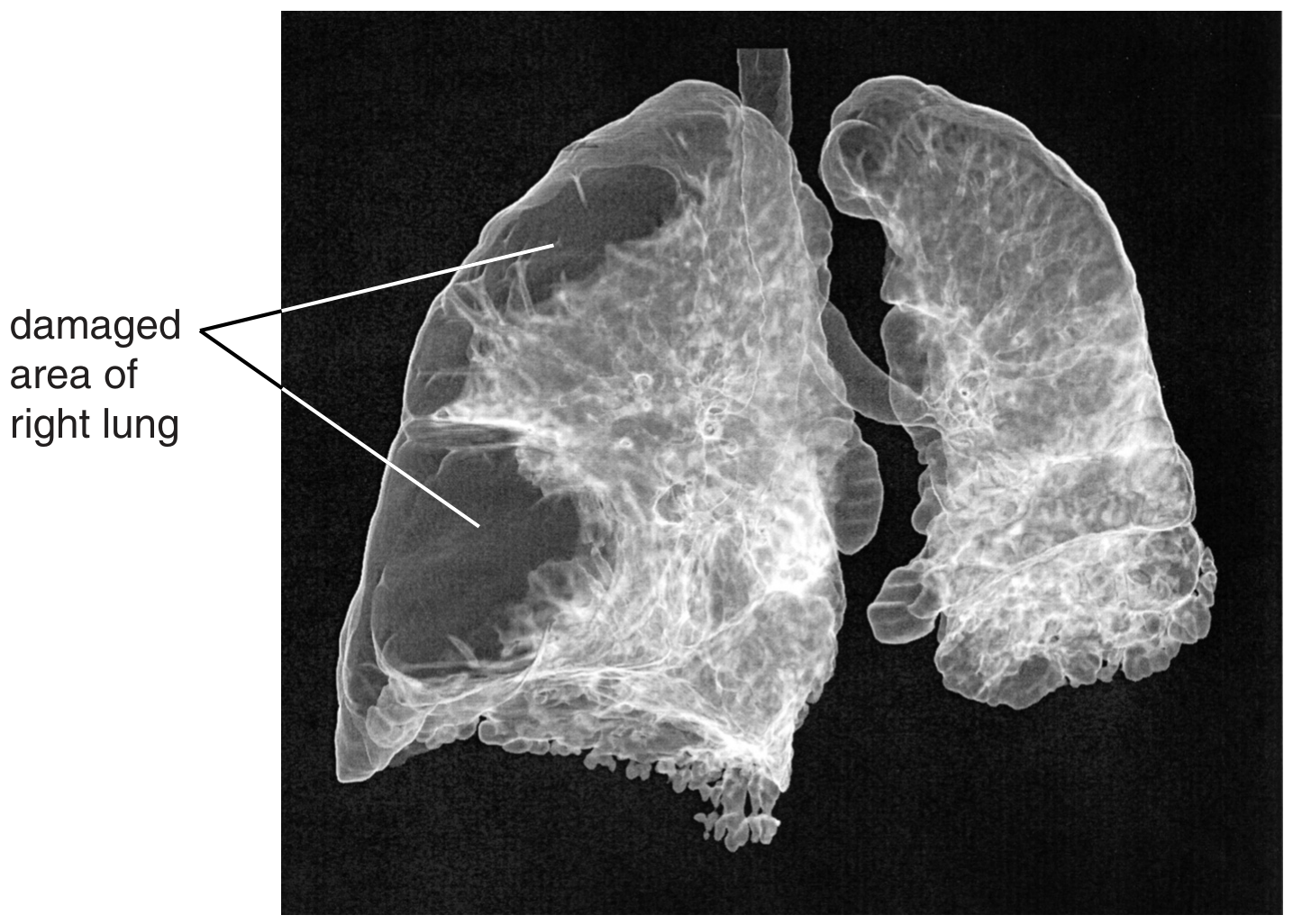 Fig. 2.1