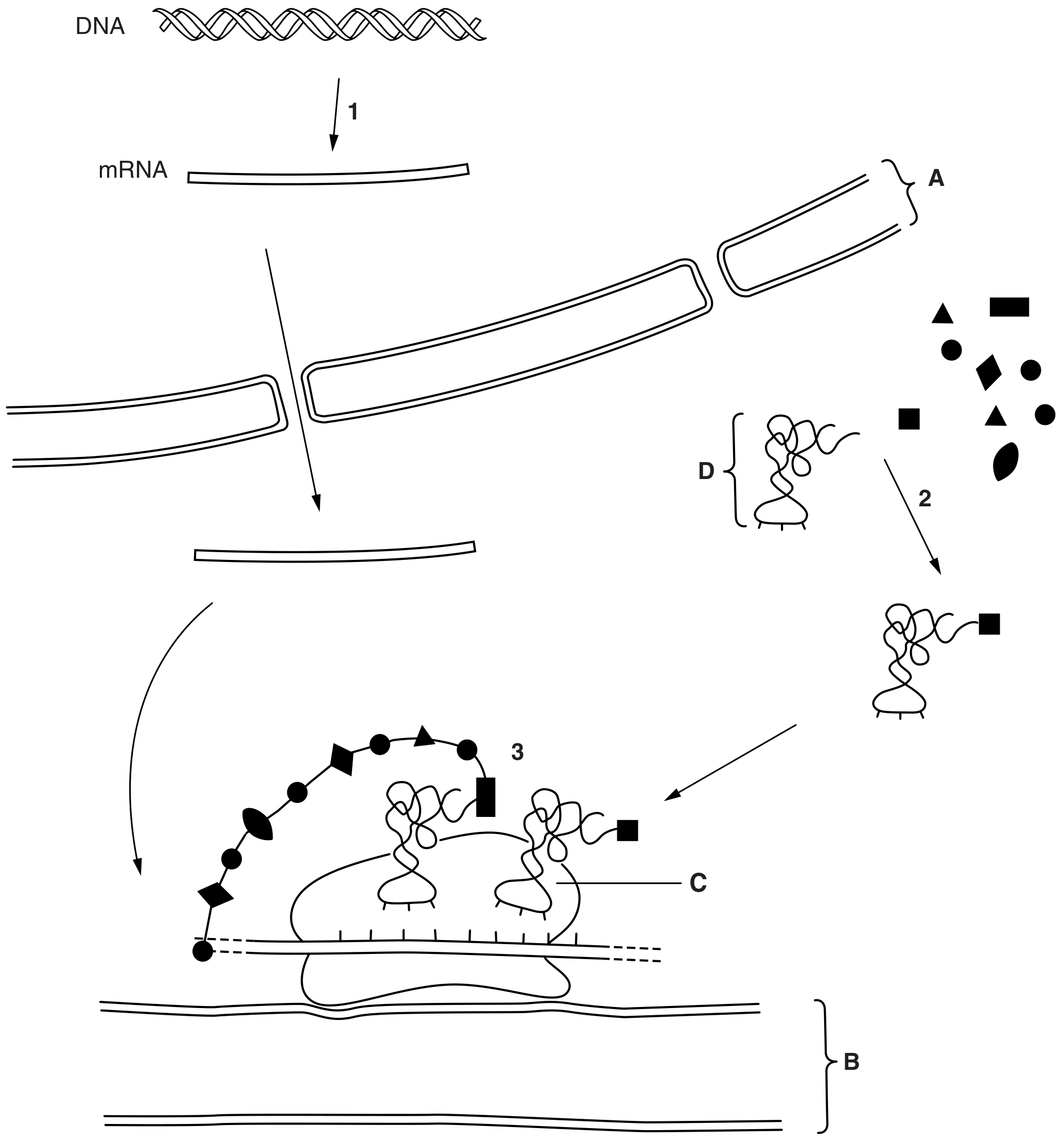 Fig. 1.1