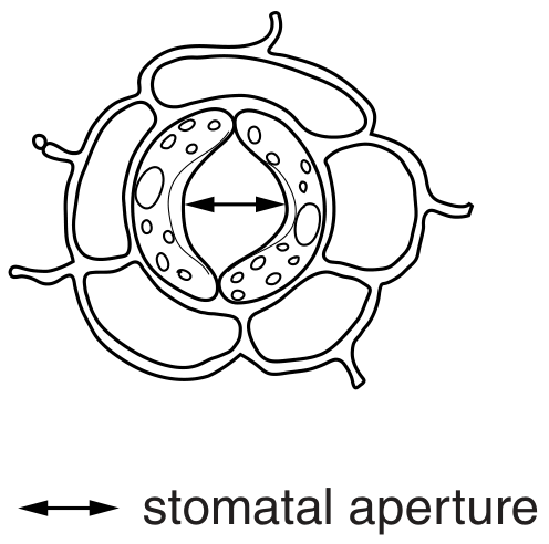 Fig. 2.1