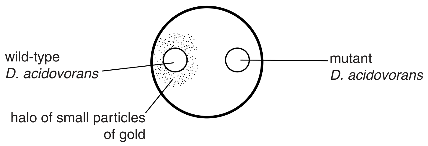 Fig. 2.1