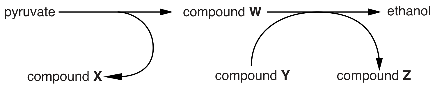 Fig. 1.1