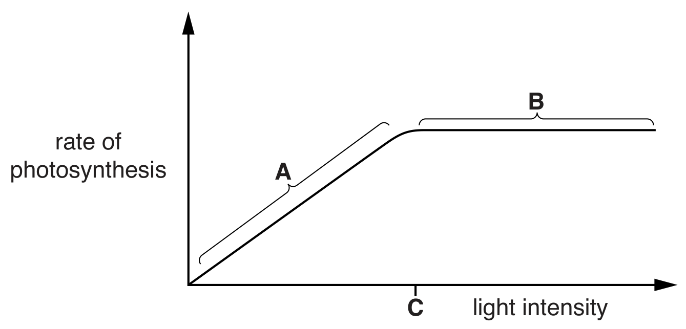 Fig. 1.1