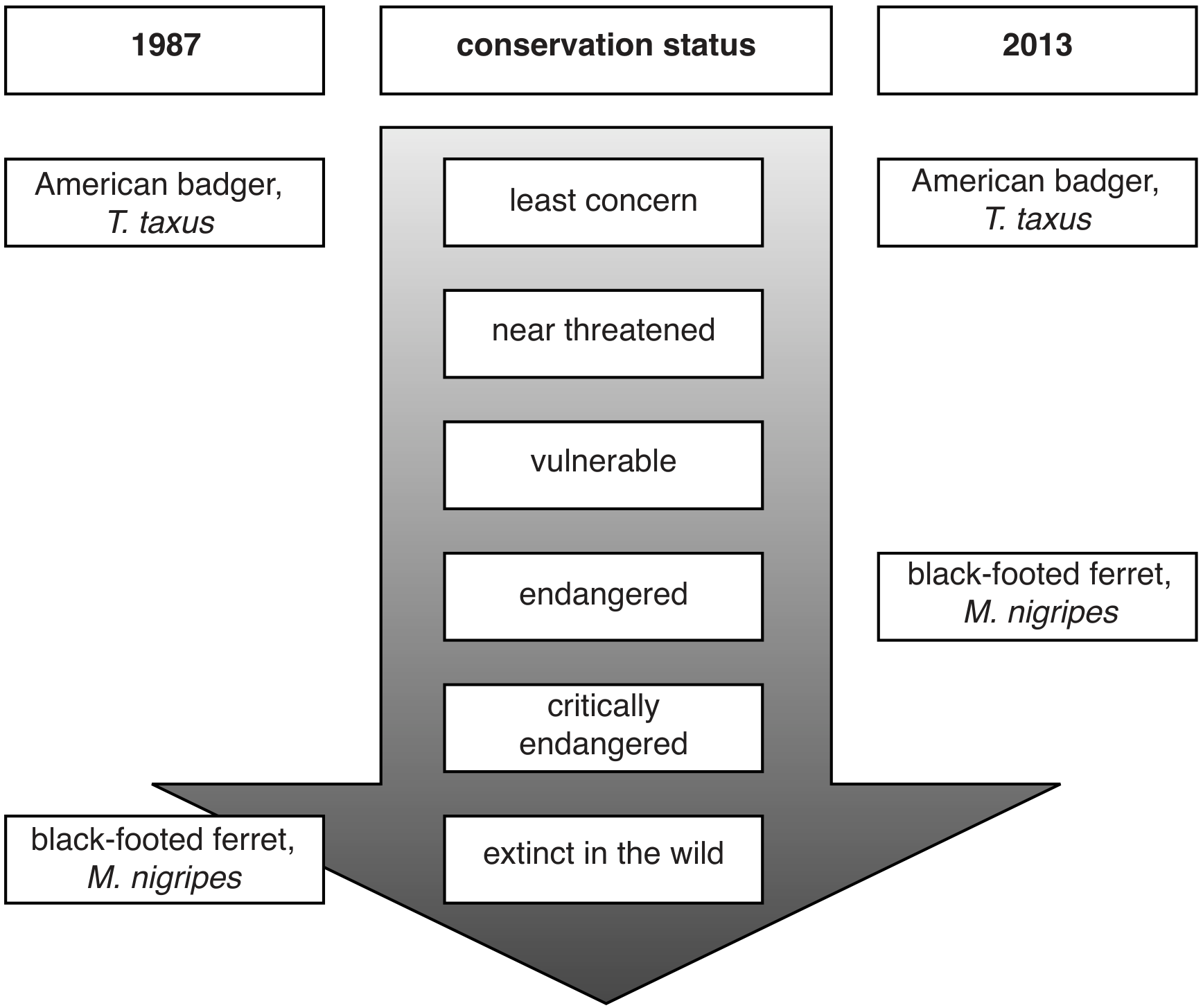Fig. 2.3