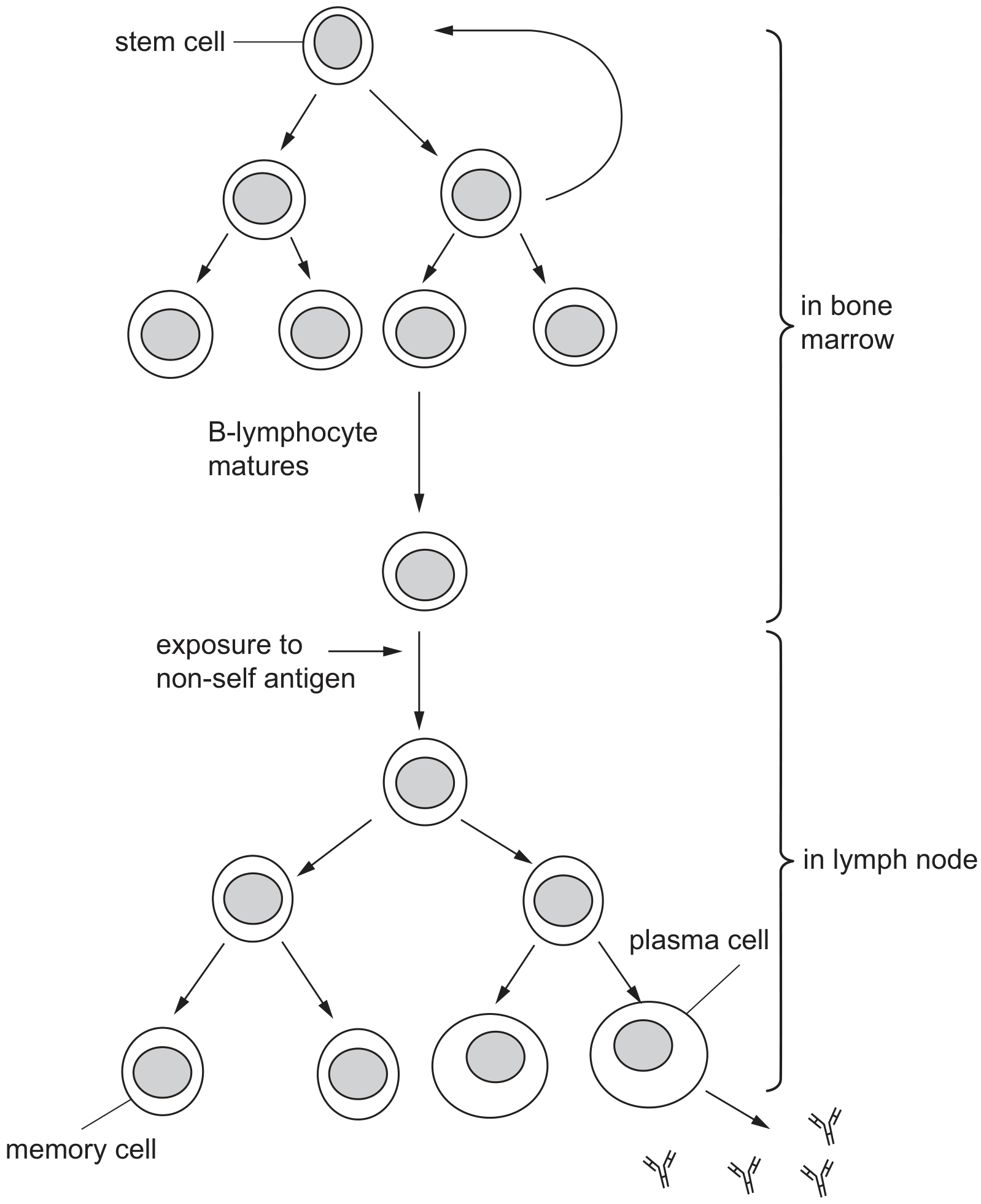 Fig. 6.1