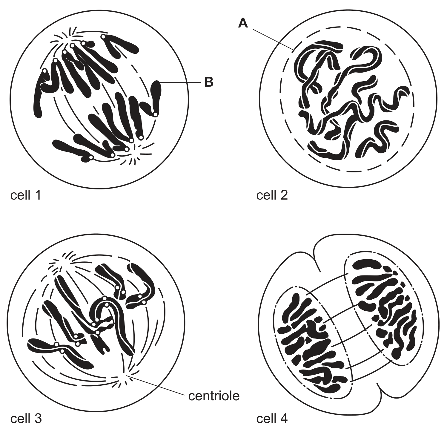 Fig 1.1