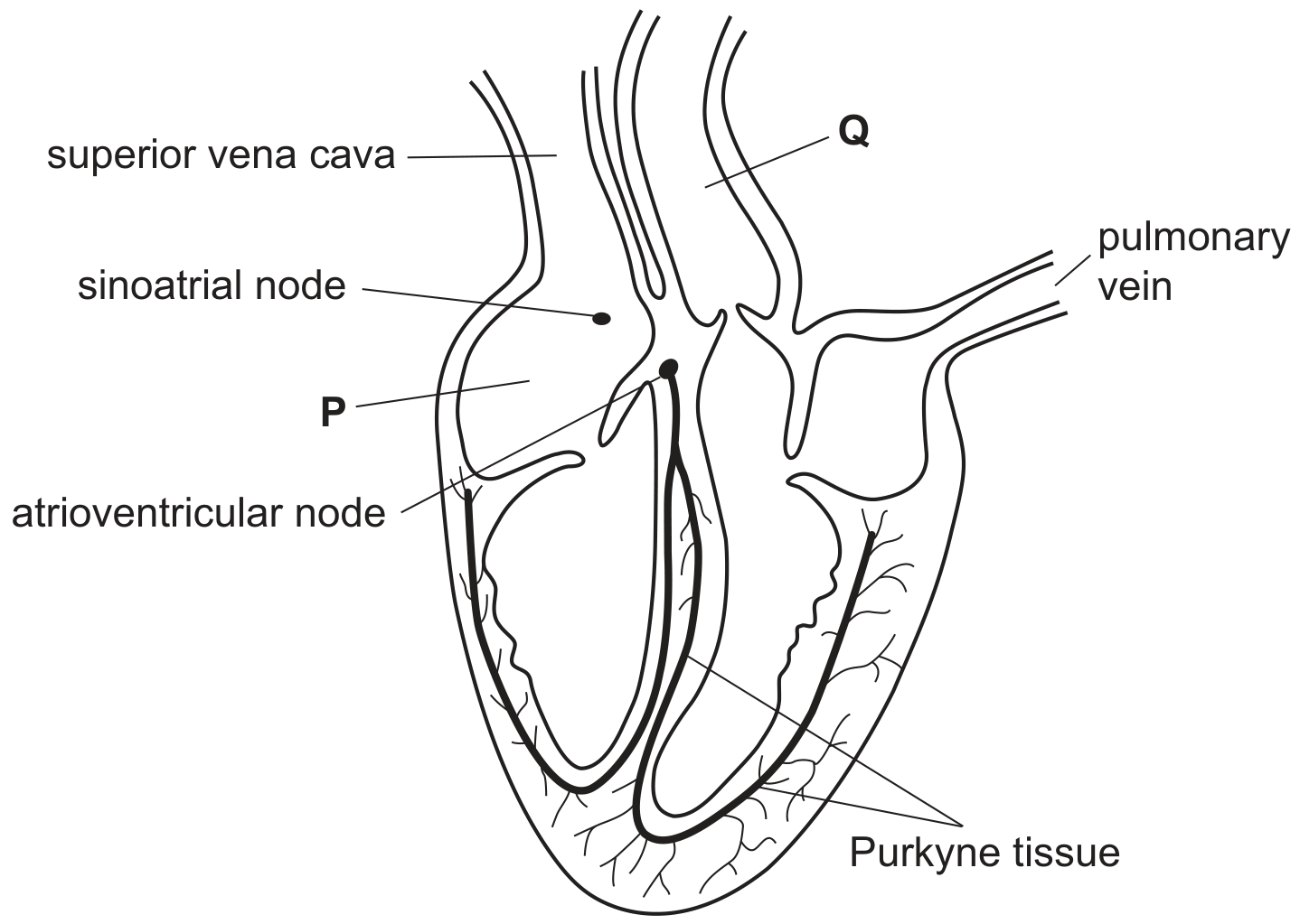 Fig. 3.1