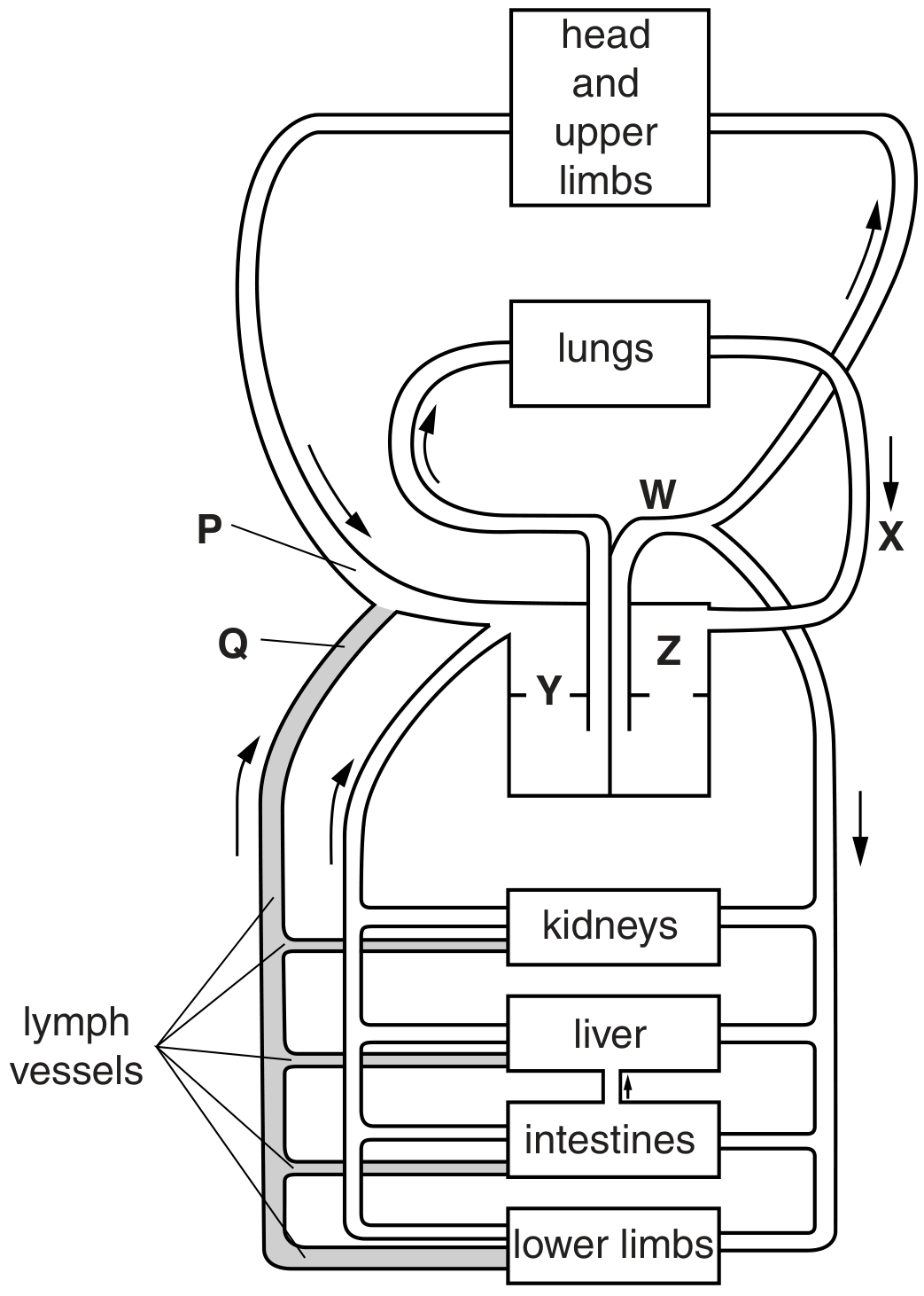 Fig. 4.1