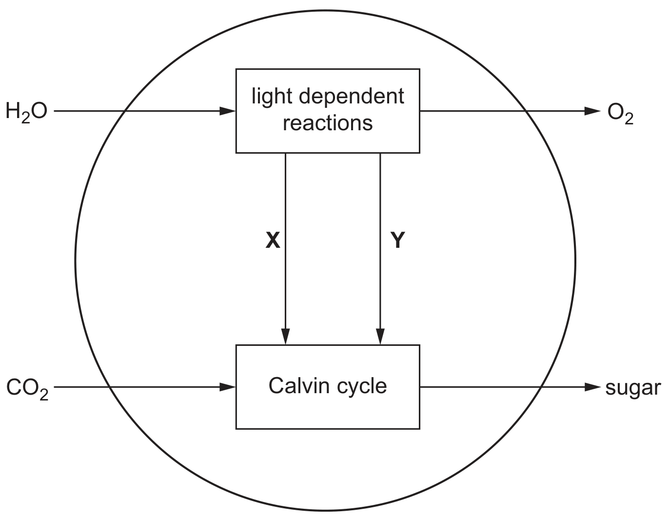 Fig. 4.3
