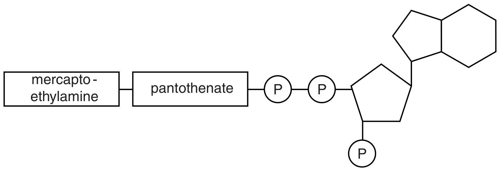 Fig. 1.1
