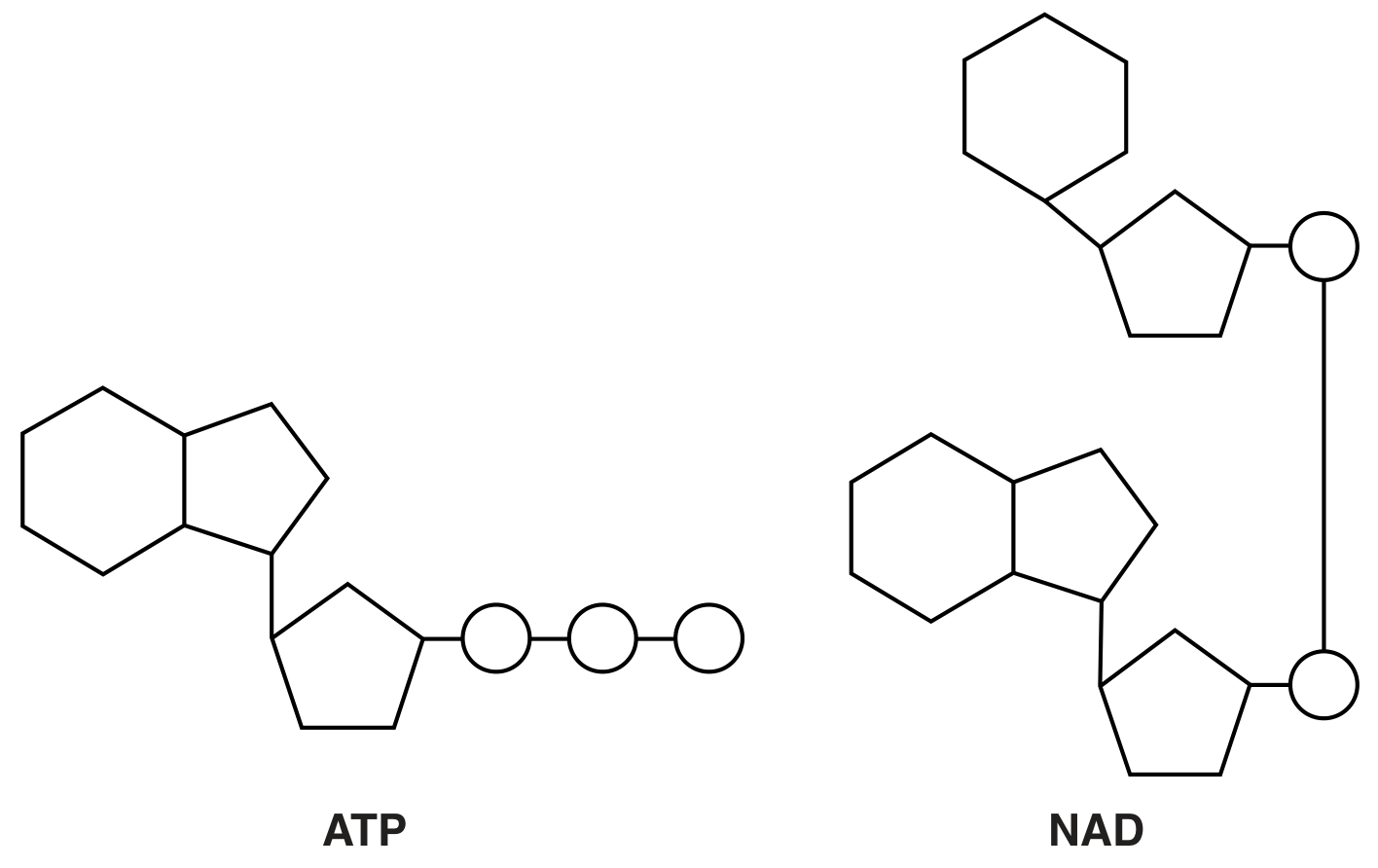 Fig. 1.1