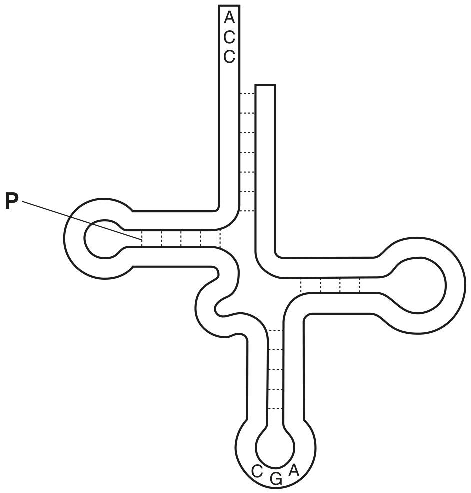 Fig. 4.1