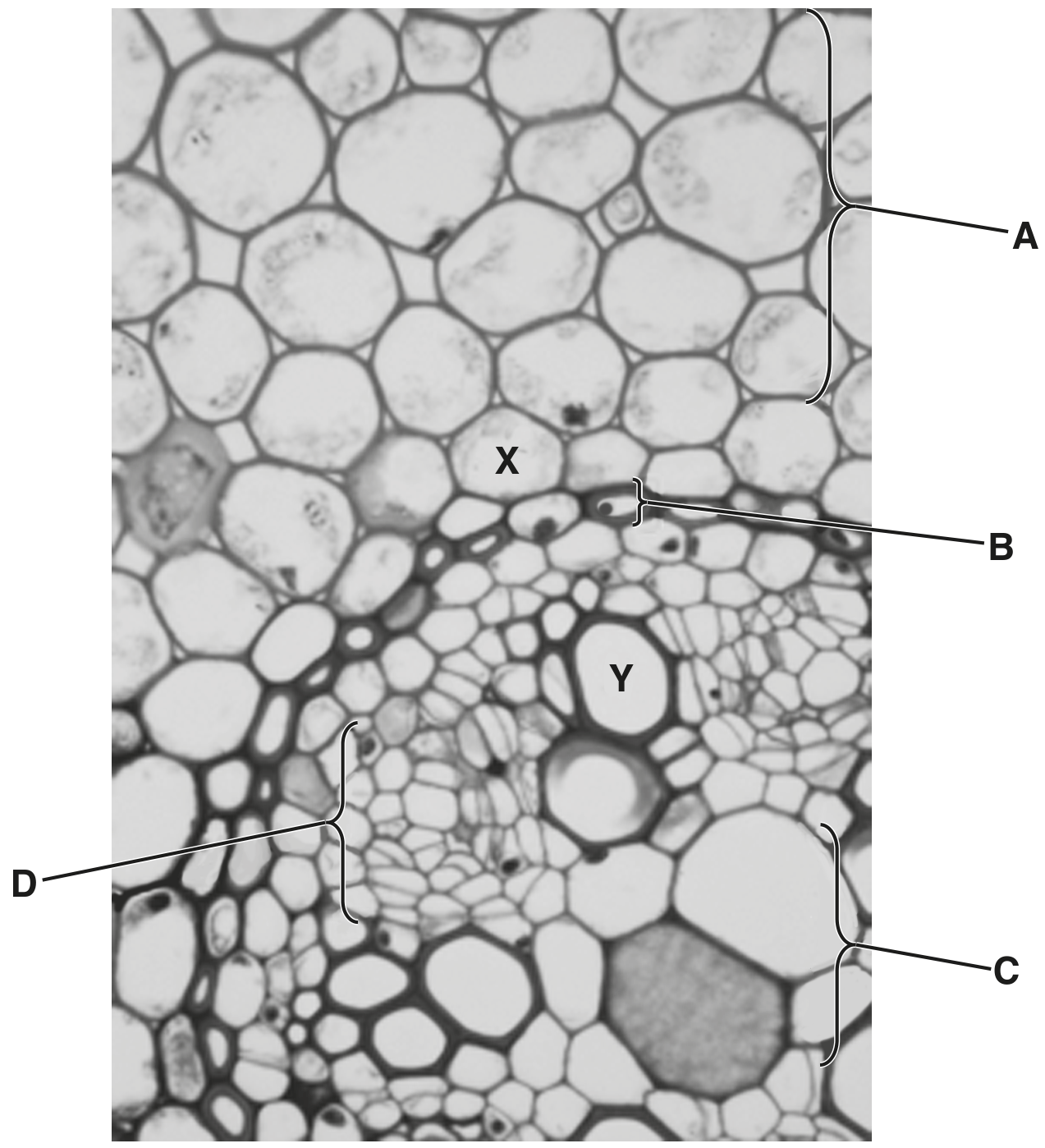 Fig. 3.1