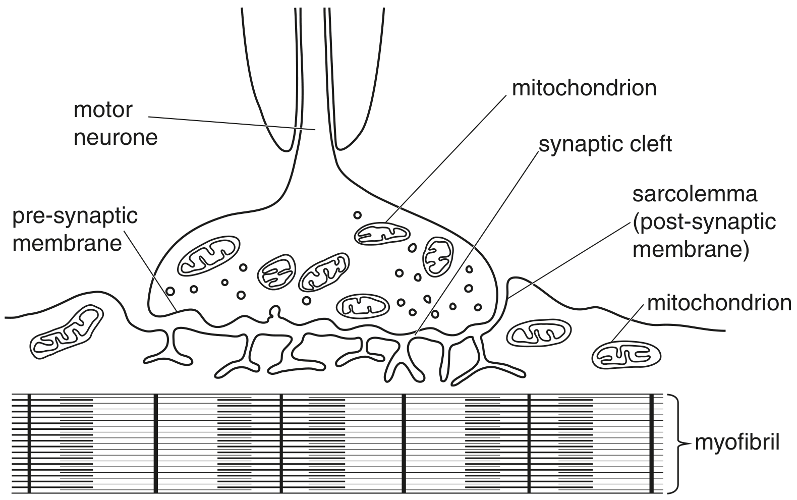Fig. 7.1