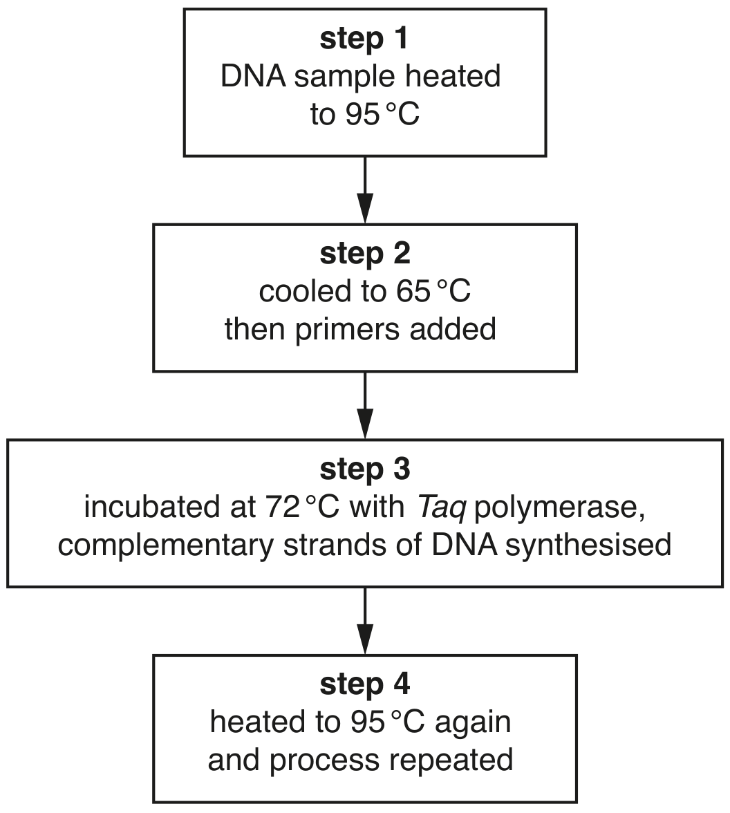 Fig. 3.1