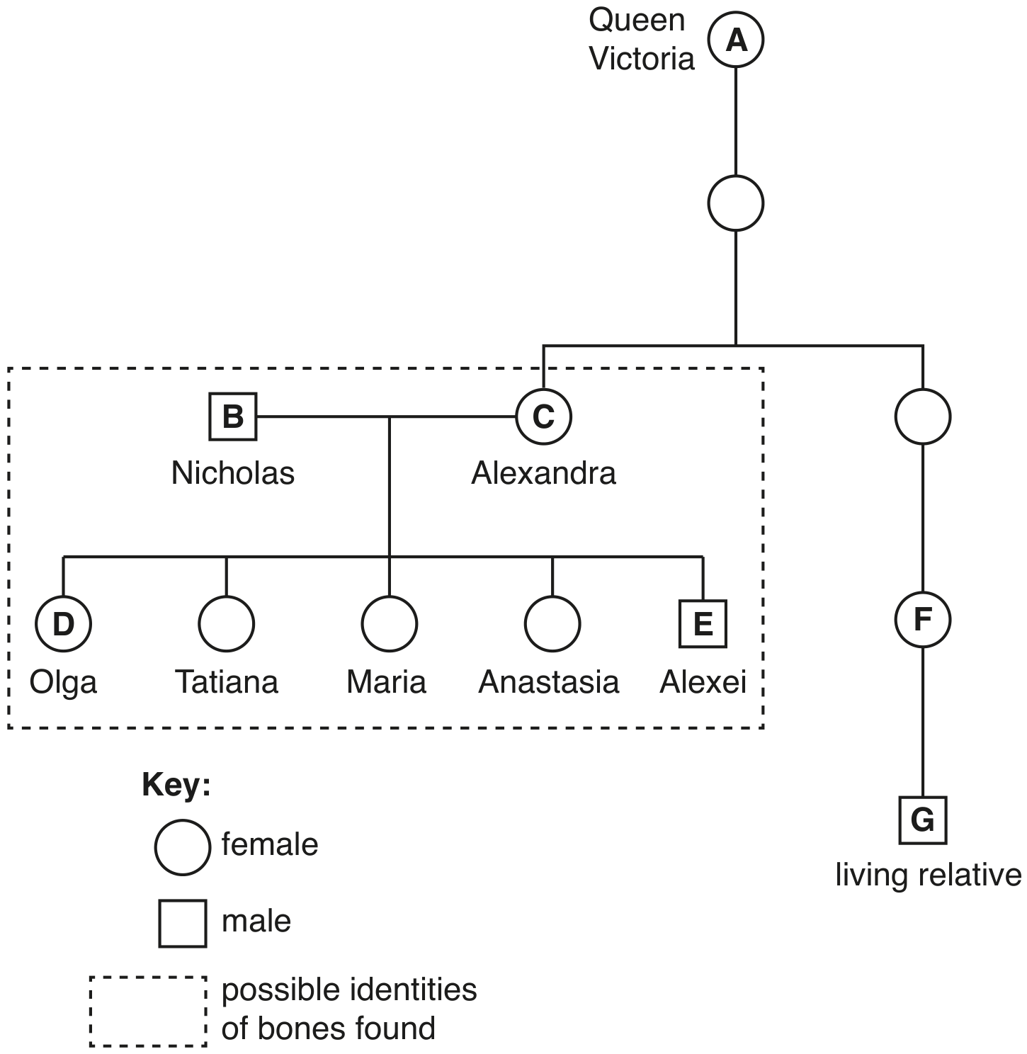 Fig. 3.2