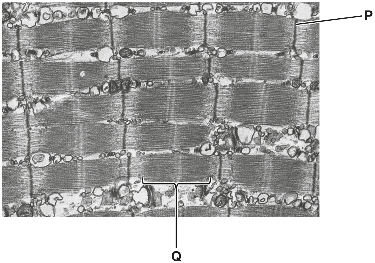 Fig. 7.1