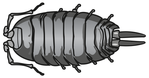 Fig. 8.1
