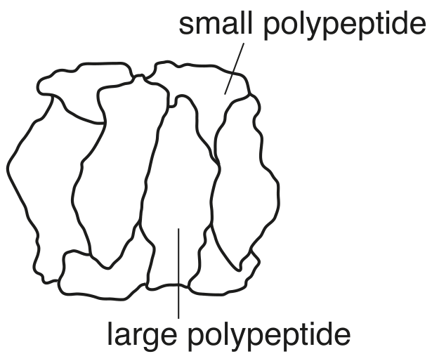 Fig. 2.1