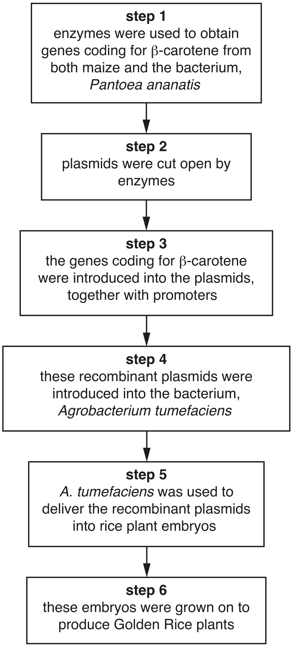 Fig. 3.1 shows how Golden Rice was originally produced by genetic engineering.