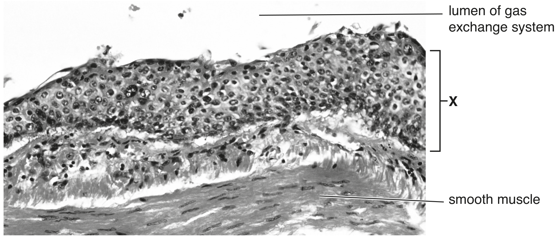 Fig. 5.2