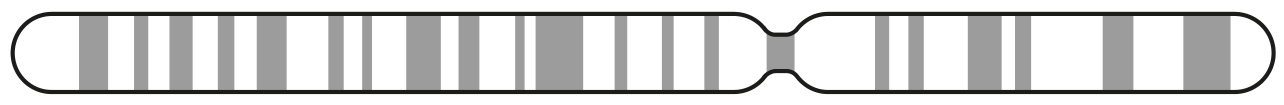 Fig. 1.1