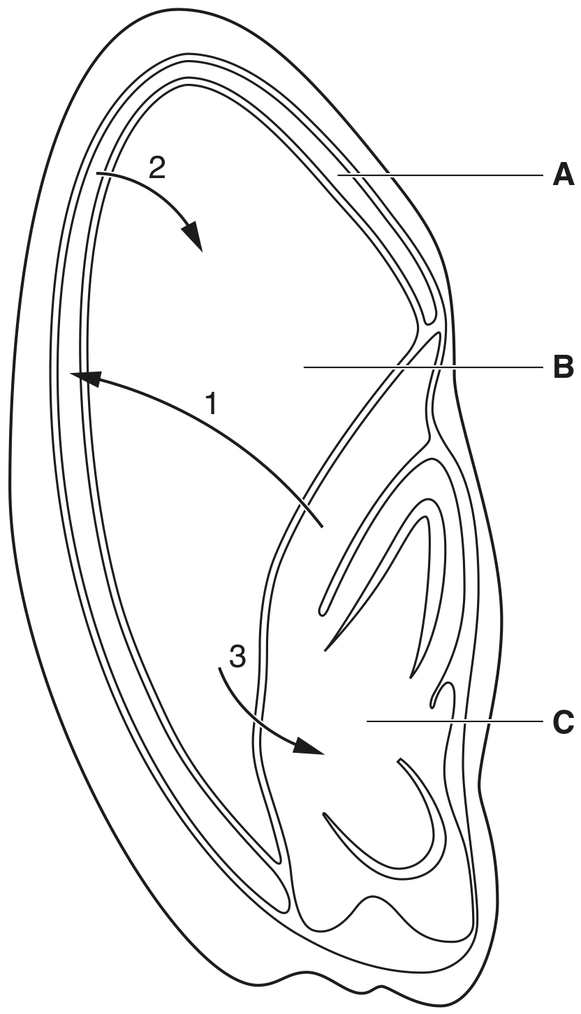 Fig. 3.1