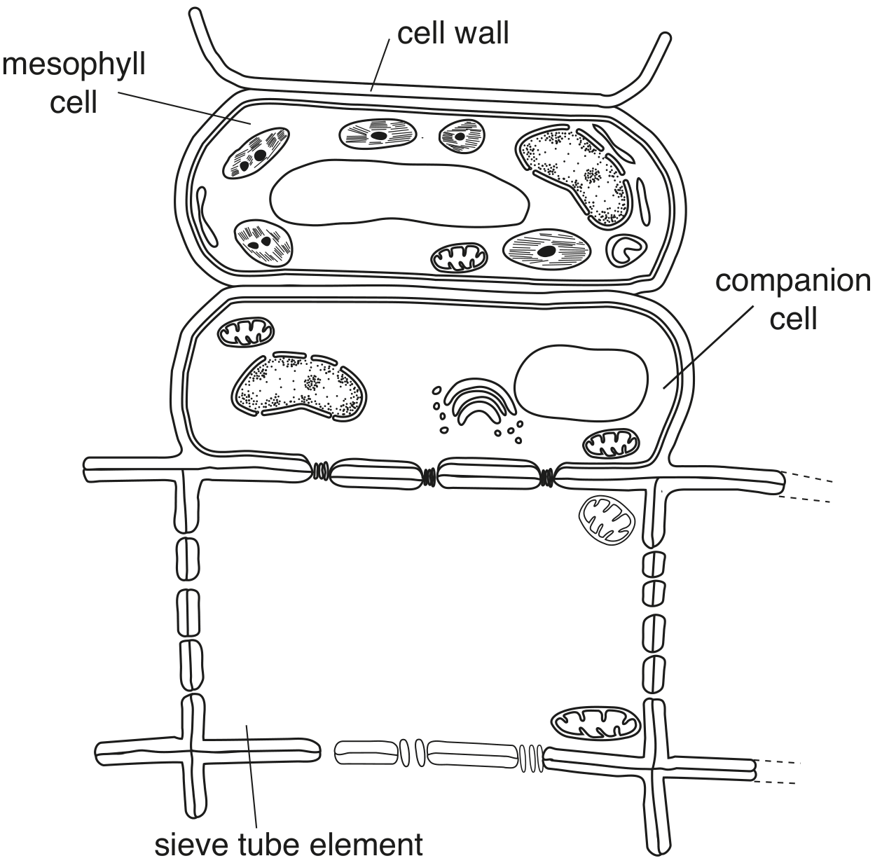 Fig. 5.1