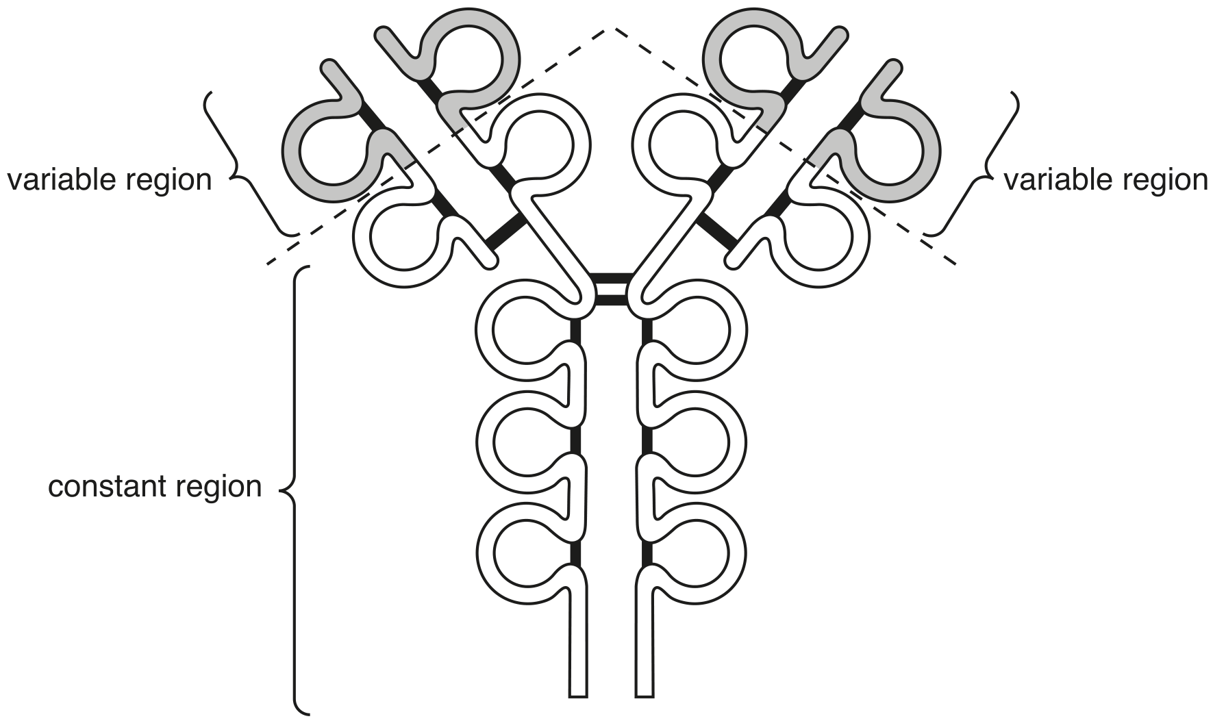 Fig. 3.1