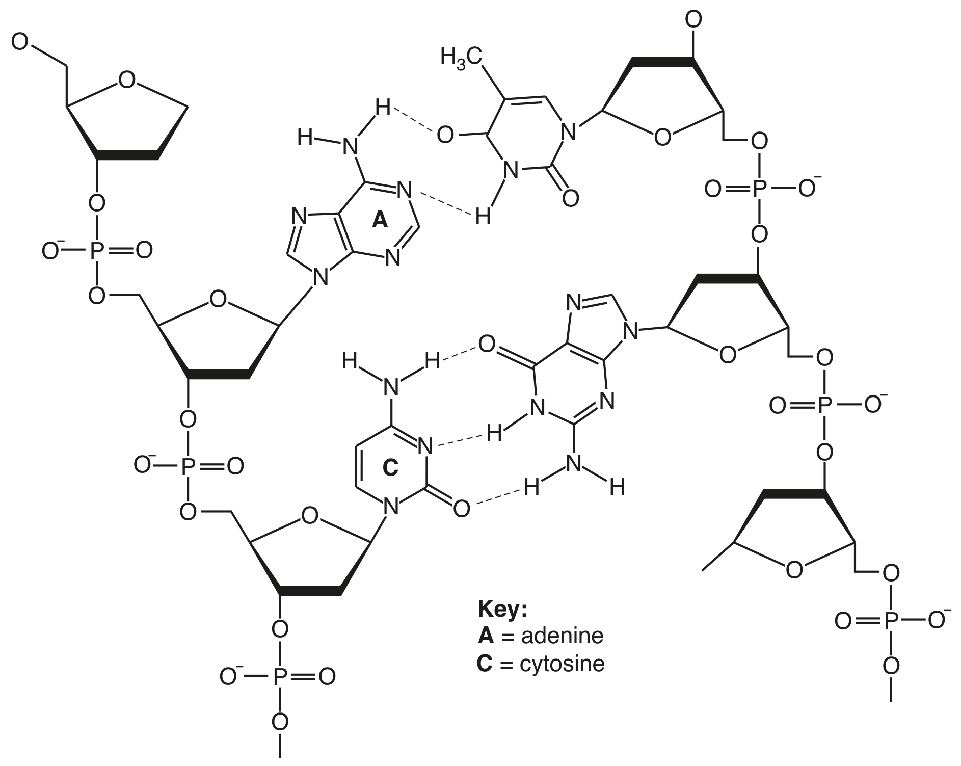 Fig. 4.1