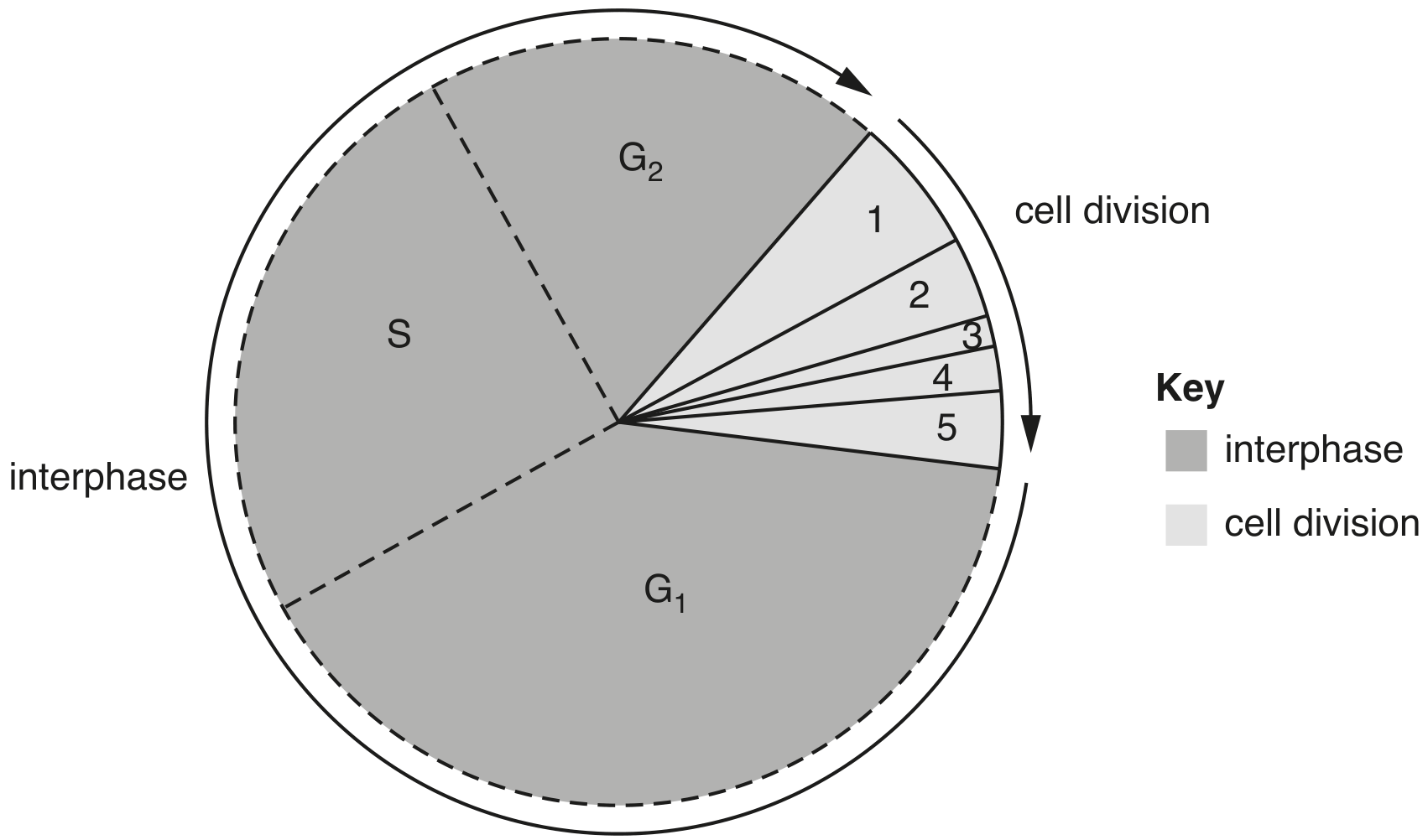 Fig. 4.1