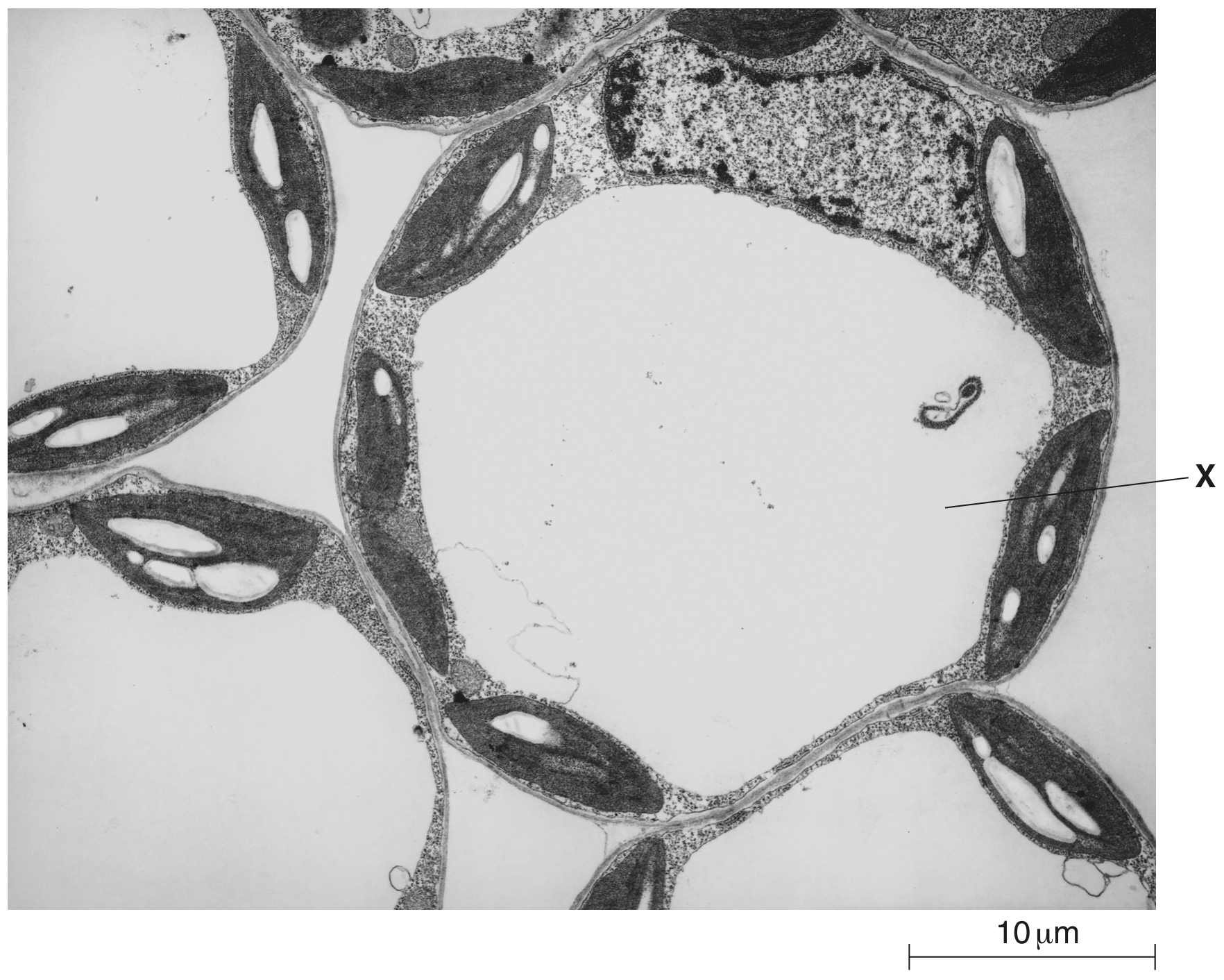 Fig. 2.1