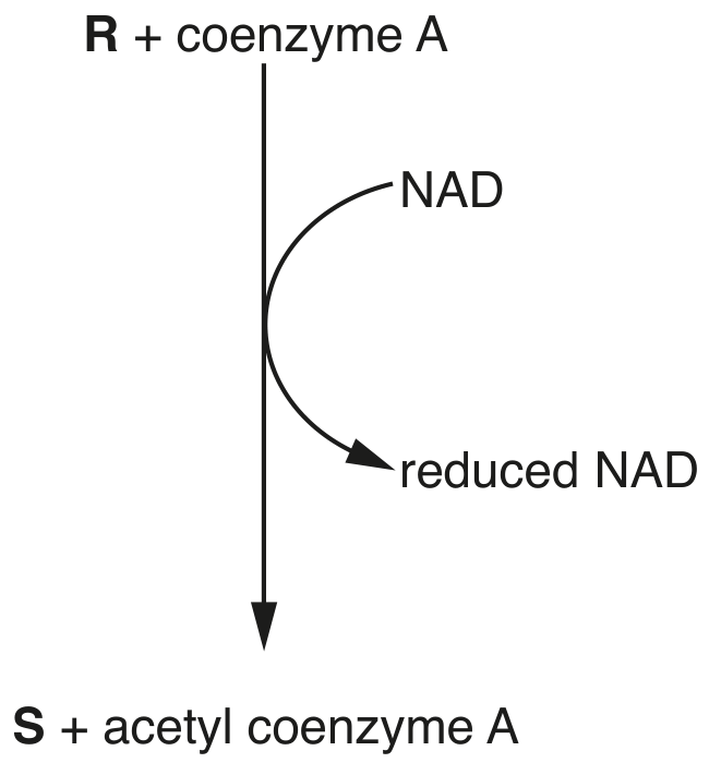 Fig. 1.1