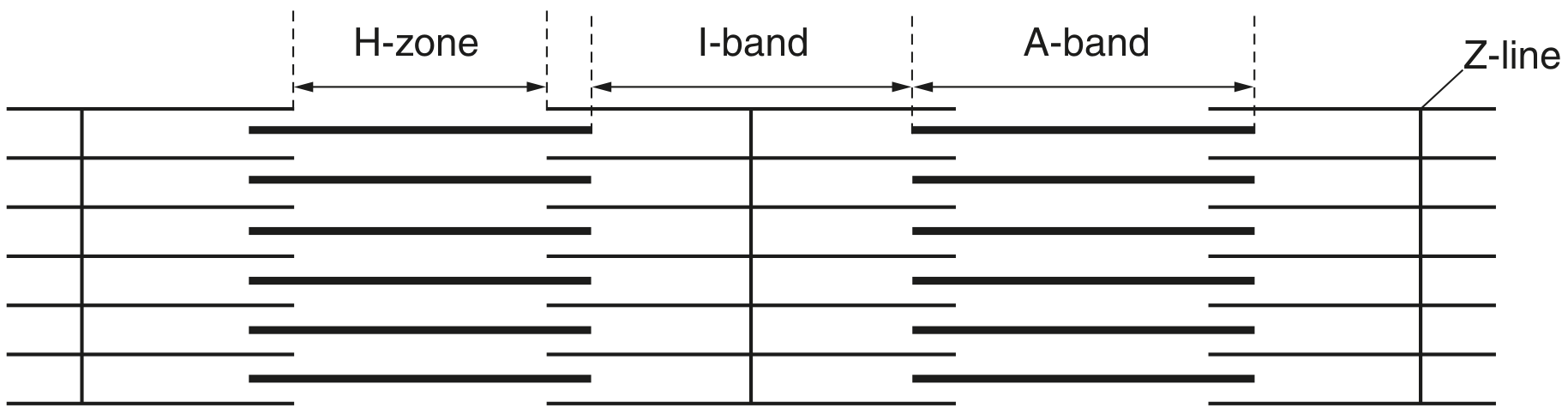 Fig. 3.1