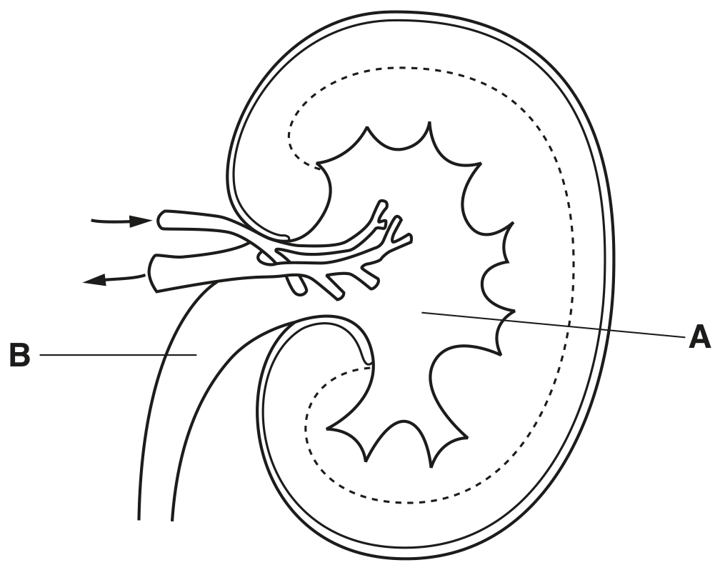 Fig. 1.1