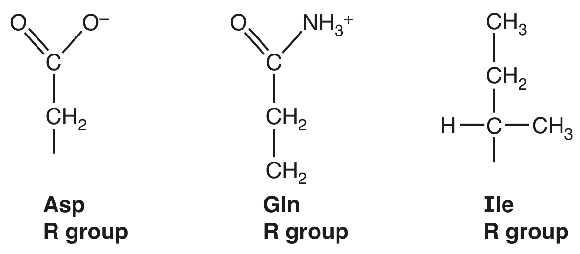 Fig. 4.1