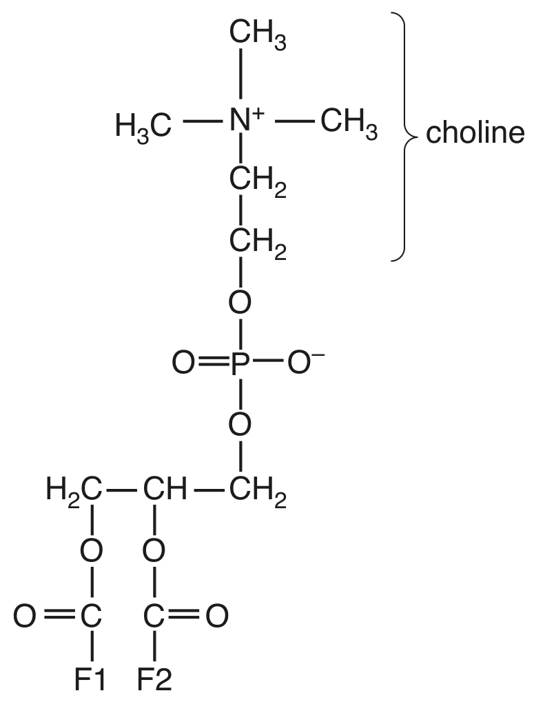 Fig. 2.1