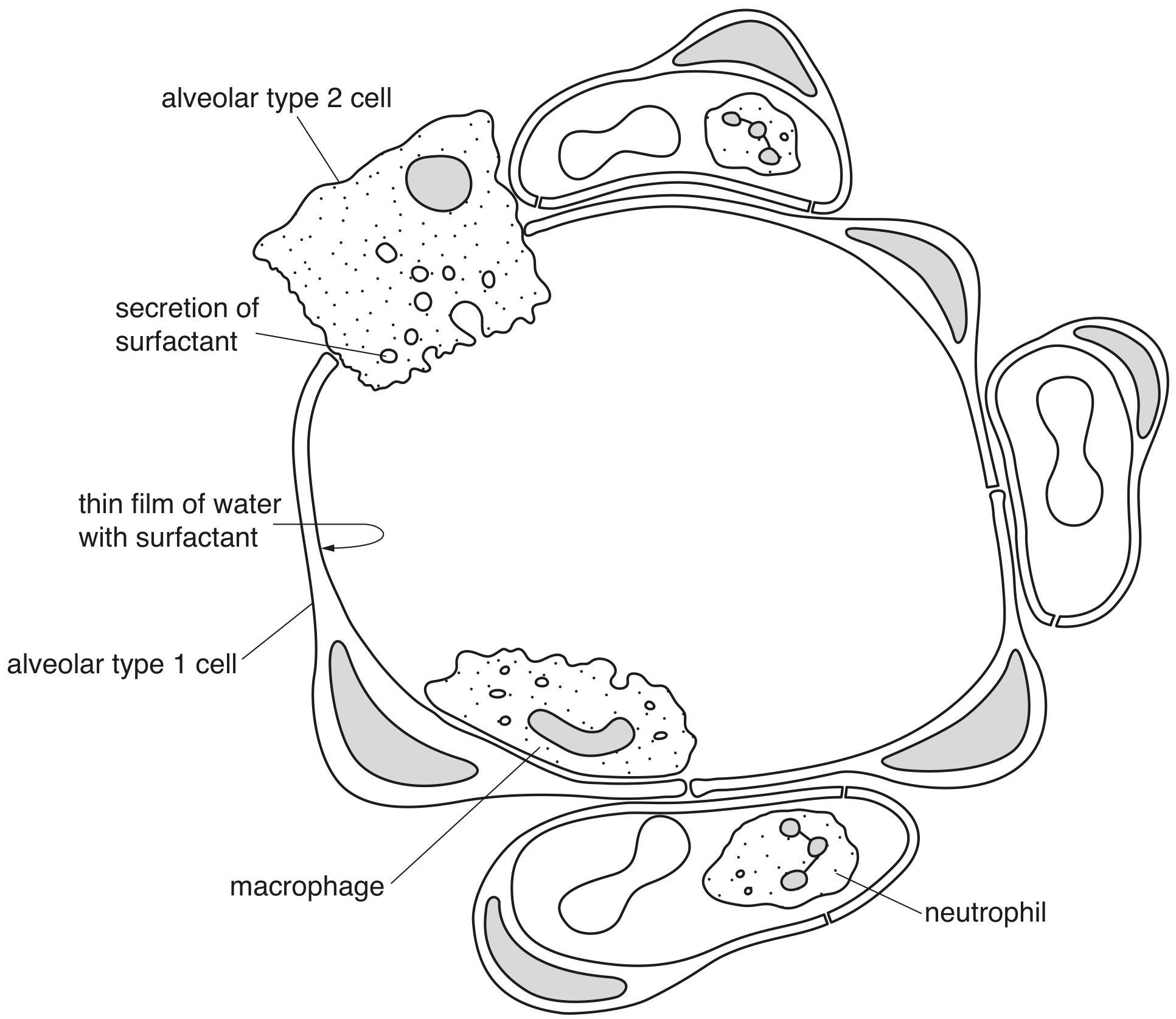 Fig. 3.1