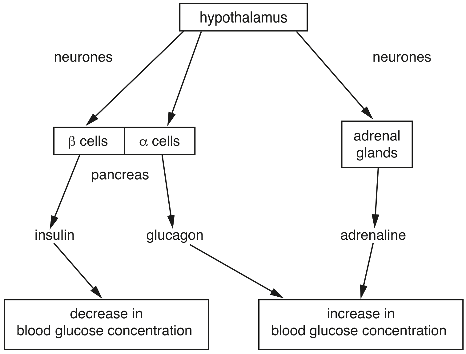 Fig. 8.1
