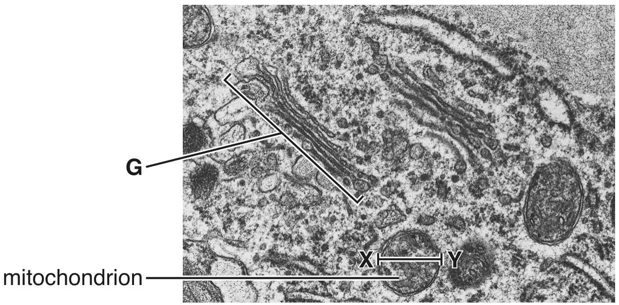 Fig. 1.1