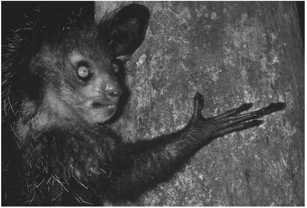 Fig. 1.1